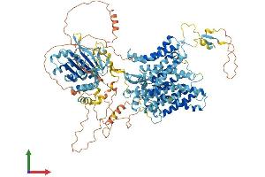 Protein Structure (PS) image for Solute Carrier Family 4, Sodium Bicarbonate Cotransporter, Member 4 (SLC4A4) (AA 1-1079) protein (His tag) (ABIN7555390)