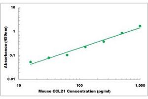 Representative Standard Curve (CCL21 ELISA 试剂盒)