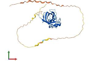 Protein Structure (PS) image for GID Complex Subunit 4, VID24 Homolog (GID4) (AA 1-300) protein (His tag) (ABIN7547913)