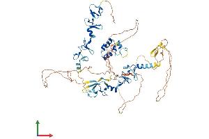 Protein Structure (PS) image for Actin Binding LIM Protein Family, Member 3 (ABLIM3) (AA 1-683) protein (His tag) (ABIN7551922)