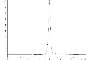 The purity of Mouse FcRH5/FcRL5 is greater than 95 % as determined by SEC-HPLC.