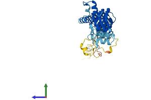 AlphaFold protein structure predicition of Human Recombinant ASB12 Protein, UniprotID Q8WXK4