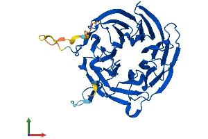 Protein Structure (PS) image for RAE1 RNA Export 1 Homolog (S. Pombe) (RAE1) (AA 1-368) protein (His tag) (ABIN7559148)