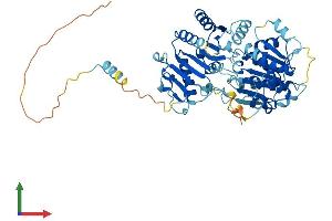 Protein Structure (PS) image for DEAD (Asp-Glu-Ala-Asp) Box Polypeptide 28 (DDX28) (AA 1-540) protein (His tag) (ABIN7560685)