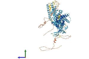 Protein Structure (PS) image for Transient Receptor Potential Cation Channel, Subfamily V, Member 4 (TRPV4) (AA 1-871) protein (His tag) (ABIN7555885)