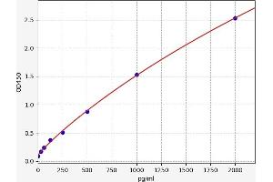 Typical standard curve (ZFP36 ELISA 试剂盒)