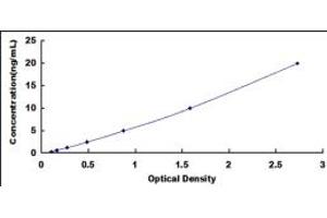 Typical standard curve (PDIA2 ELISA 试剂盒)