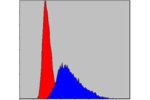 Flow cytometric analysis of Jurkat cells using ITK mouse mAb (blue) and negative control (red). (ITK 抗体)
