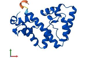 Protein Structure (PS) image for Ureidoimidazoline (2-Oxo-4-Hydroxy-4-Carboxy-5-) Decarboxylase (URAD) (AA 1-173) protein (His tag) (ABIN7545035)
