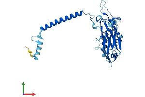 Protein Structure (PS) image for ATPase, Na+/K+ Transporting, beta 2 Polypeptide (ATP1B2) (AA 1-290) protein (His tag) (ABIN7562871)