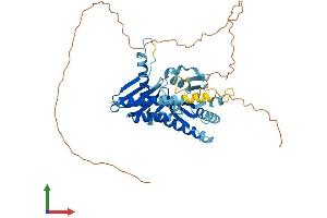AlphaFold protein structure predicition of Mouse Recombinant Rragd Protein, UniprotID Q7TT45