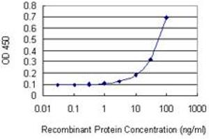 Detection limit for recombinant GST tagged UBE2O is 3 ng/ml as a capture antibody. (UBE2O 抗体  (AA 361-470))