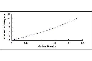 Typical standard curve (Caspase 9 ELISA 试剂盒)