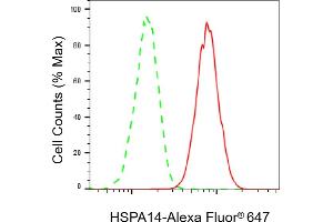 Flow cytometric analysis of HSPA14 expression in HAP-1 cells using HSPA14 antibody (ABIN7798850), 1:2,000). (Recombinant HSPA14 抗体)