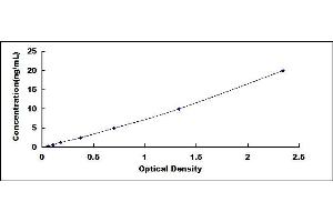 Typical standard curve (RNASE2 ELISA 试剂盒)