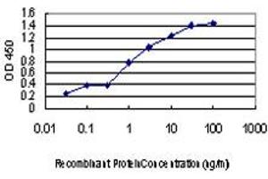 Detection limit for recombinant GST tagged CDC2L5 is approximately 0. (CDK13 抗体  (AA 1-90))