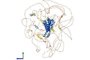 AlphaFold protein structure predicition of Human Recombinant AFF2 Protein, UniprotID P51816