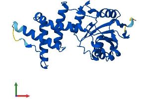 Protein Structure (PS) image for Enolase-Phosphatase 1 (ENOPH1) (AA 1-261) protein (His tag) (ABIN7547351)