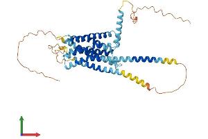 AlphaFold protein structure predicition of Human Recombinant GPR22 Protein, UniprotID Q99680