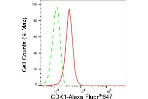 Flow cytometric analysis of CDK1 expression in HepG2 cells using CDK1 antibody (ABIN7798206), 1:2,000). (Recombinant CDK1 抗体)