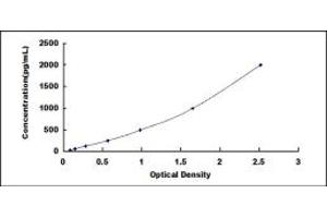 Typical standard curve (CER1 ELISA 试剂盒)