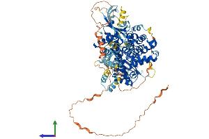 Protein Structure (PS) image for phosphodiesterase 8A (PDE8A) (AA 1-823) protein (His tag) (ABIN7562614)