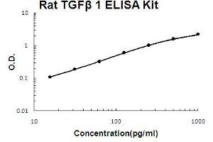 Rat TGF beta 1 PicoKine ELISA Kit standard curve (TGFB1 ELISA 试剂盒)