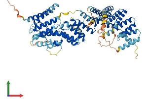 Protein Structure (PS) image for Fanconi Anemia Complementation Group G (FANCG) (AA 1-622) protein (His tag) (ABIN7547599)