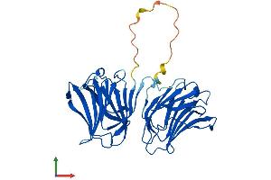 Protein Structure (PS) image for Galectin 4 (LGALS4) (AA 1-323) protein (His tag) (ABIN7549023)