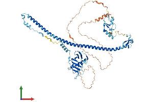 Protein Structure (PS) image for Tripartite Motif Containing 41 (TRIM41) (AA 1-630) protein (His tag) (ABIN7557479)