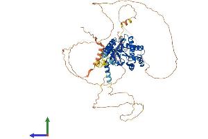 Protein Structure (PS) image for Calcium Channel, Voltage-Dependent, beta 2 Subunit (CACNB2) (AA 1-660) protein (His tag) (ABIN7552755)