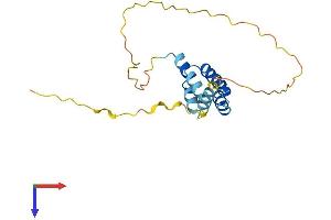 AlphaFold protein structure predicition of Human Recombinant CT45A8 Protein, UniprotID P0DMV1