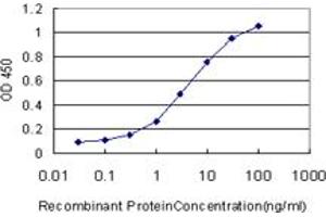 Detection limit for recombinant GST tagged SEPT3 is approximately 0. (Septin 3 抗体  (AA 236-345))