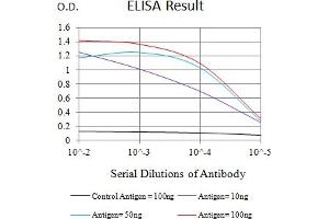 Black line: Control Antigen (100 ng),Purple line: Antigen (10 ng), Blue line: Antigen (50 ng), Red line:Antigen (100 ng) (FCRL2 抗体  (AA 20-253))