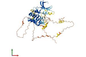 AlphaFold protein structure predicition of Mouse Recombinant Nek3 Protein, UniprotID Q9R0A5