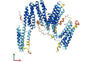 Protein Structure (PS) image for Catenin (Cadherin-Associated Protein), alpha 3 (CTNNA3) (AA 1-895) protein (His tag) (ABIN7553584)