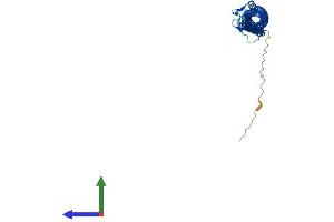 Protein Structure (PS) image for Tektin 2 (Testicular) (TEKT2) (AA 1-430) protein (His tag) (ABIN7560221)
