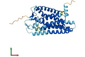 Protein Structure (PS) image for Olfactory Receptor, Family 2, Subfamily J, Member 2 (OR2J2) (AA 1-312) protein (His tag) (ABIN7550074)
