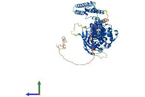 Protein Structure (PS) image for Signal Transducer and Activator of Transcription 5B (STAT5B) (AA 1-787) protein (His tag) (ABIN7555657)