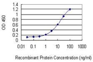 Detection limit for recombinant GST tagged NPTX1 is 0. (NPX1 抗体  (AA 141-240))
