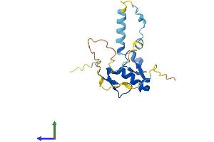 AlphaFold protein structure predicition of Mouse Recombinant Gtsf1 Protein, UniprotID Q9DAN6