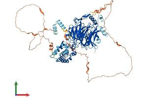 AlphaFold protein structure predicition of Human Recombinant TAF5 Protein, UniprotID Q15542