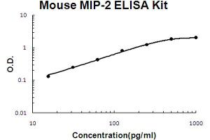 Mouse MIP-2 Accusignal ELISA Kit Mouse MIP-2 AccuSignal ELISA Kit standard curve. (CXCL2 ELISA 试剂盒)