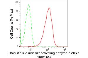 Flow cytometric analysis of Ubiquitin like modifier activating enzyme 7 expression in HepG2 cells using Ubiquitin like modifier activating enzyme 7 antibody (ABIN7800759), 1:2,000). (Recombinant UBA7 抗体)
