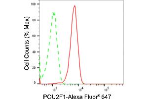 Flow cytometric analysis of POU2F1 expression in Hela cells using POU2F1 antibody (ABIN7799889), 1:2,000). (Recombinant POU2F1 抗体)