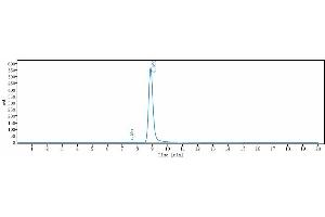 anti-Sialic Acid Binding Ig-Like Lectin 15 (SIGLEC15) antibody