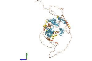 AlphaFold protein structure predicition of Human Recombinant ZSCAN32 Protein, UniprotID Q9NX65 (Zinc Finger and SCAN Domain Containing 32 (ZSCAN32) (AA 1-697) protein (His tag))