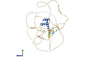 Protein Structure (PS) image for H2.0-Like Homeobox (HLX) (AA 1-488) protein (His tag) (ABIN7548364)