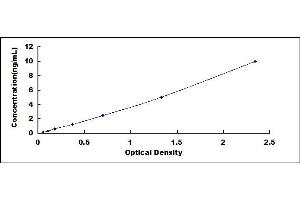 Typical standard curve (TIMM8A/DDP ELISA 试剂盒)
