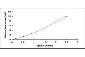 Oxidized Low Density Lipoprotein (Lectin-Like) Receptor 1 (OLR1) ELISA Kit